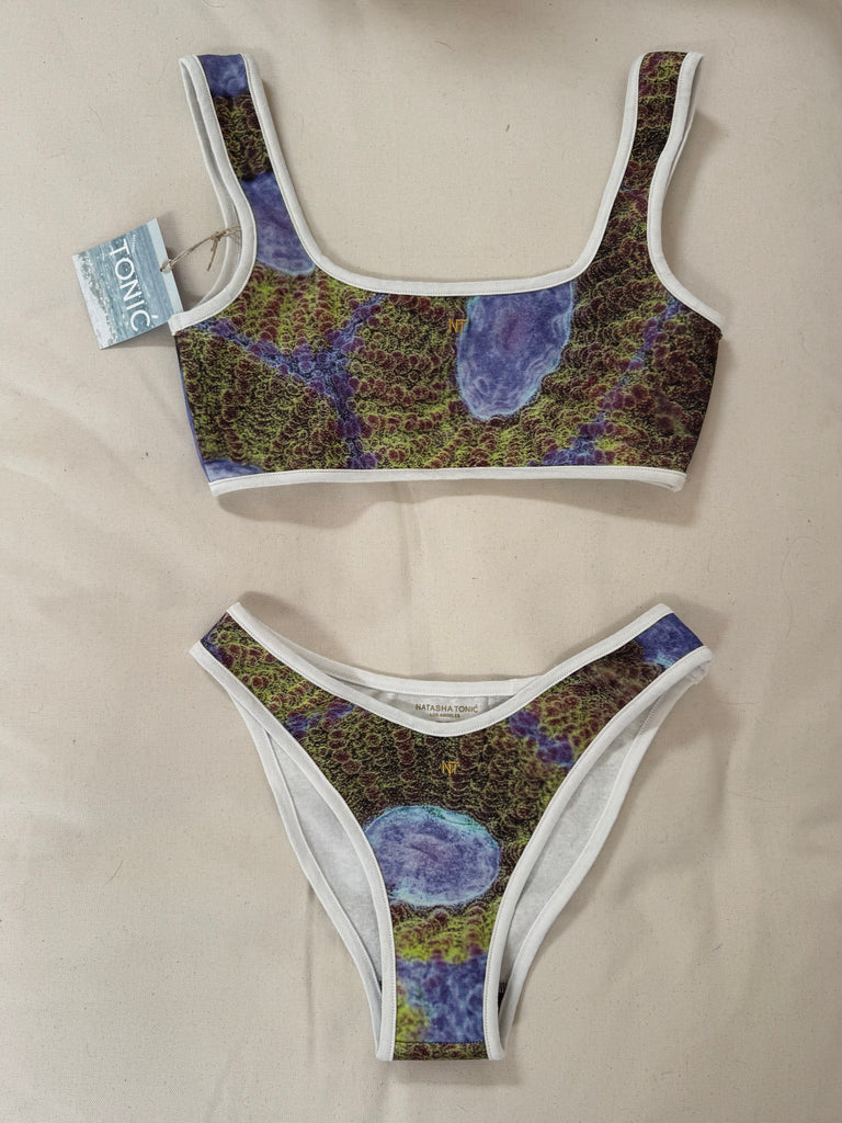 CORAL DREAM, TOP BIKINI/ SPORTS BRA