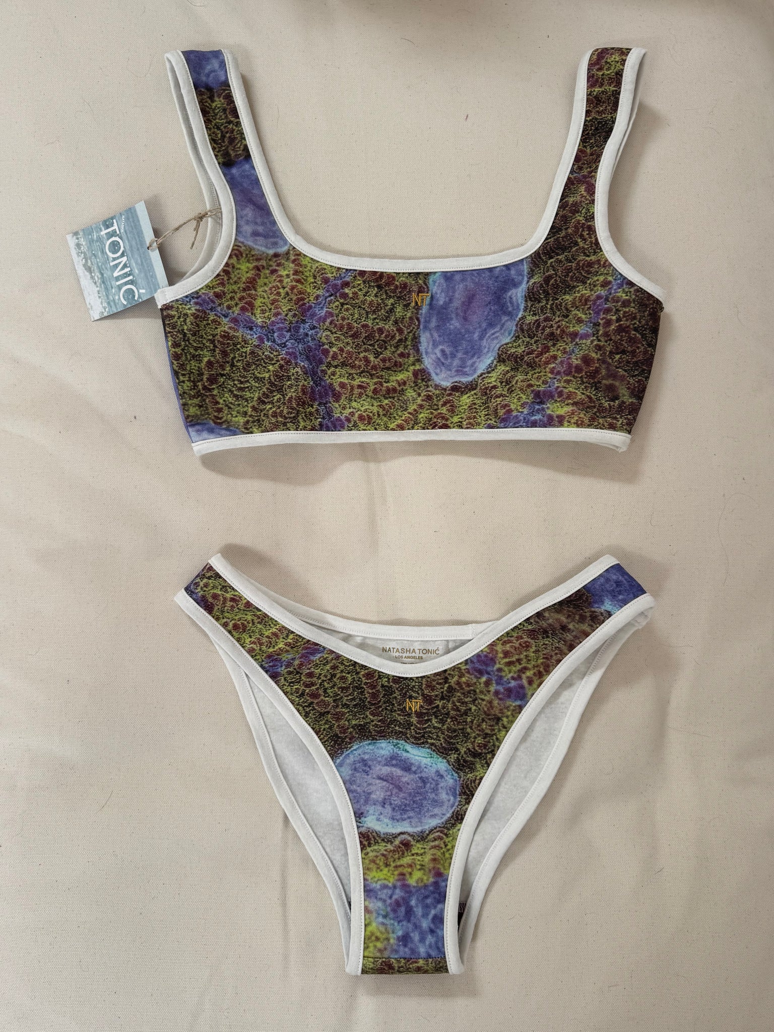 CORAL DREAM, BIKINI BOTTOM