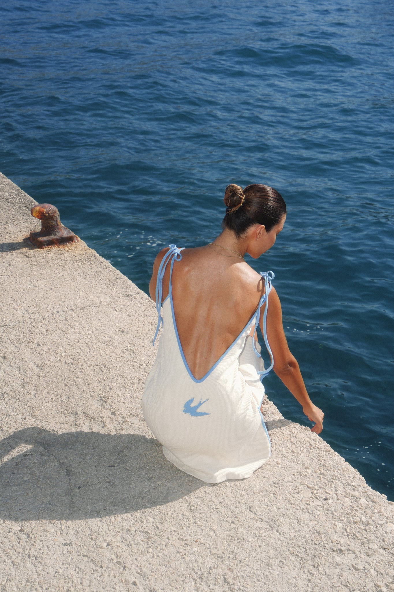 White Dress Blue Birds